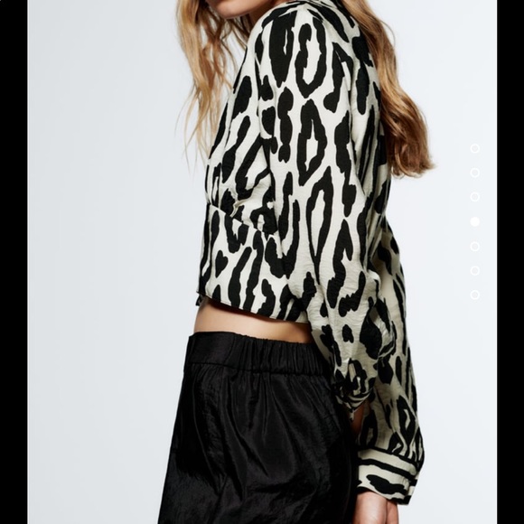 Zara Animal Print Cropped Blouse - Picture 6 of 8
